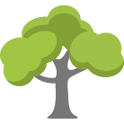 Petaluma Tree Removal
