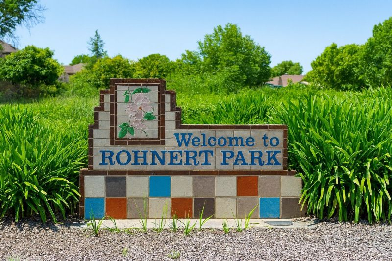 Tree Removal Service in Rohnert Park, CA