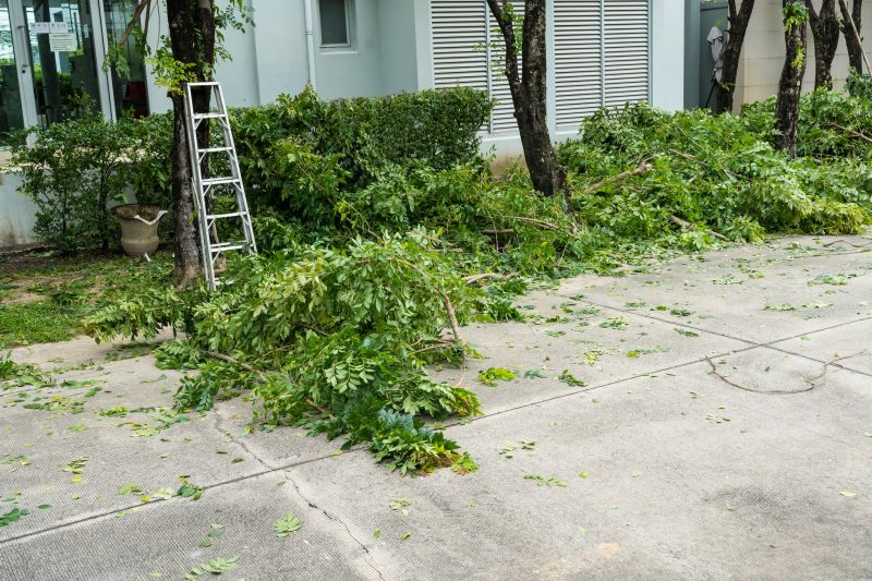 Products For Tree Removals in use