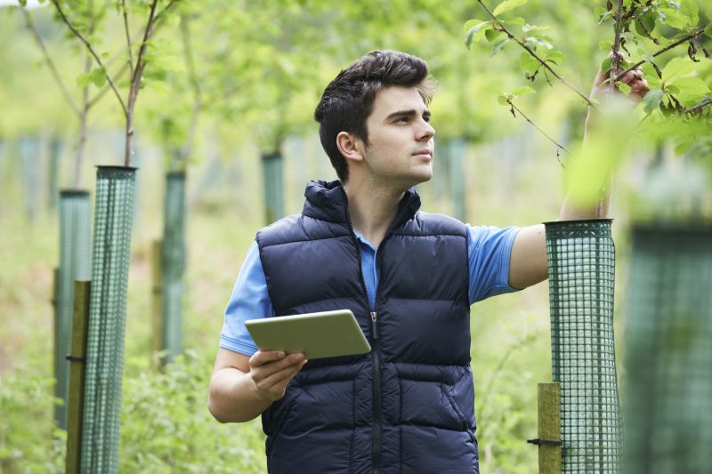 Assessing Tree Health Year-Round